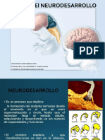 -Trastornos-del-Neurodesarrollo-al-Autismo-1-ppt