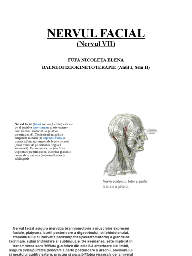 Nervul Facial | PDF