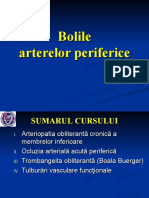 5. Bolile arterelor periferice.ppt
