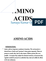 Amino Acids Presentation File