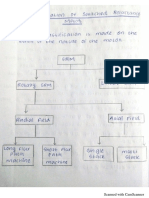 Classification of SRM (1).pdf