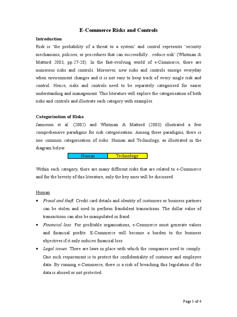 Risks and Controls PDF Risk E Commerce