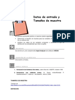 Laboratorio 05 - Datos de Entrada y Tamaños de Muestra