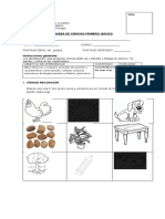 Prueba de Ciencias Necesidades de Los Seres Vivos