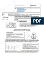 4°.guía Ciencias Naturales - Laboratorio PDF