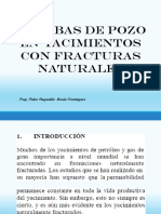 Unid 6 P de Pozos en Yac con Fract Naturales.pdf