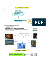 Mapa Conceptual de H.I.