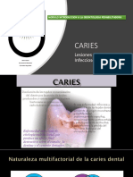 Lesiones de Origen Infeccioso