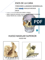 Huesos de La Cara-2