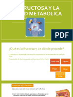 La Fructosa y La Salud Metabolica