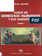 Curso de Derechos Humanos T1 - Uriarte (Ed 1 2013) PDF