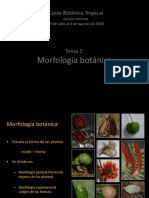 Morfologia de plantas.pdf