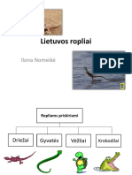 Lietuvos Ropliai