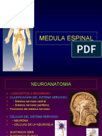 15-medulaespinal-100406220825-phpapp02.pdf
