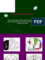 21-viasdeconduccion-100406224157-phpapp02