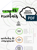 Mapa Mental Dir_ambiental 2020