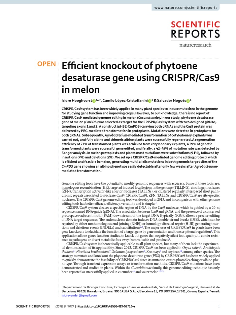 Efficient Knockout of Phytoene Desaturase Gene Using CRISPR:Cas9 in ...