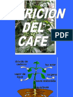 NUTRICION Cafe