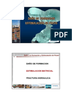 109234907-2-0-Estimulacion-Matricial.pdf