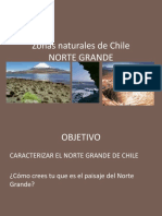 Zonas Naturales de Chile Norte Grande