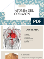 Anatomia Del Corazón2