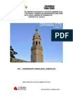 DTS Componente Hidrología Hidraulica PDF