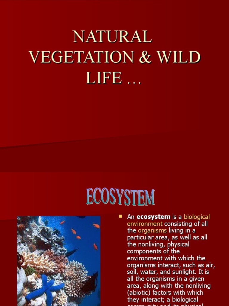 Natural Vegetation & Wild Life | PDF | Ecosystem | Forests