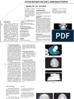 Proc Bàsic 27   Lab de Orto.pdf