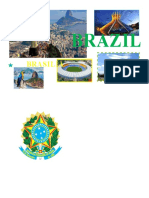 BRAZIL MOSAICO