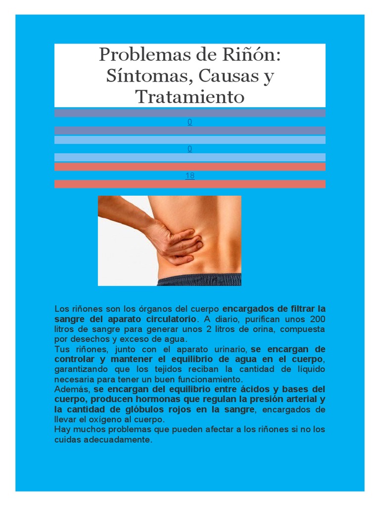 Problemas Renales: Síntomas y Tratamientos | PDF | Riñón | Diálisis