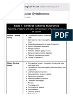 Cerebrovascular Syndromes: The Neurosurgical Atlas