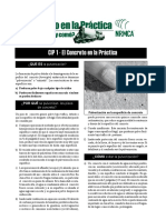CIP1 El concreto en la practica.pdf