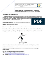 Eduacacion Sifica Ejercicios Fisicos en Casa Grados 3° Grado