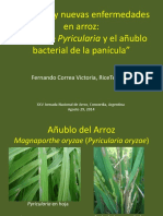 Anublo Del Arroz Argentina 2014 Fernando Correa - 41 PDF