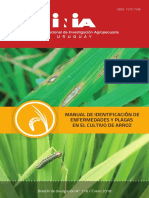 Manual de Identificación de Enfermedades Y Plagas en El Cultivo de Arroz