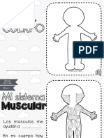 Sistemas Aparato Del Cuerpo Humano PDF