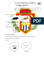 Taller Primera Ley de Mendel