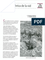 Clorosis férrica de la vid.pdf