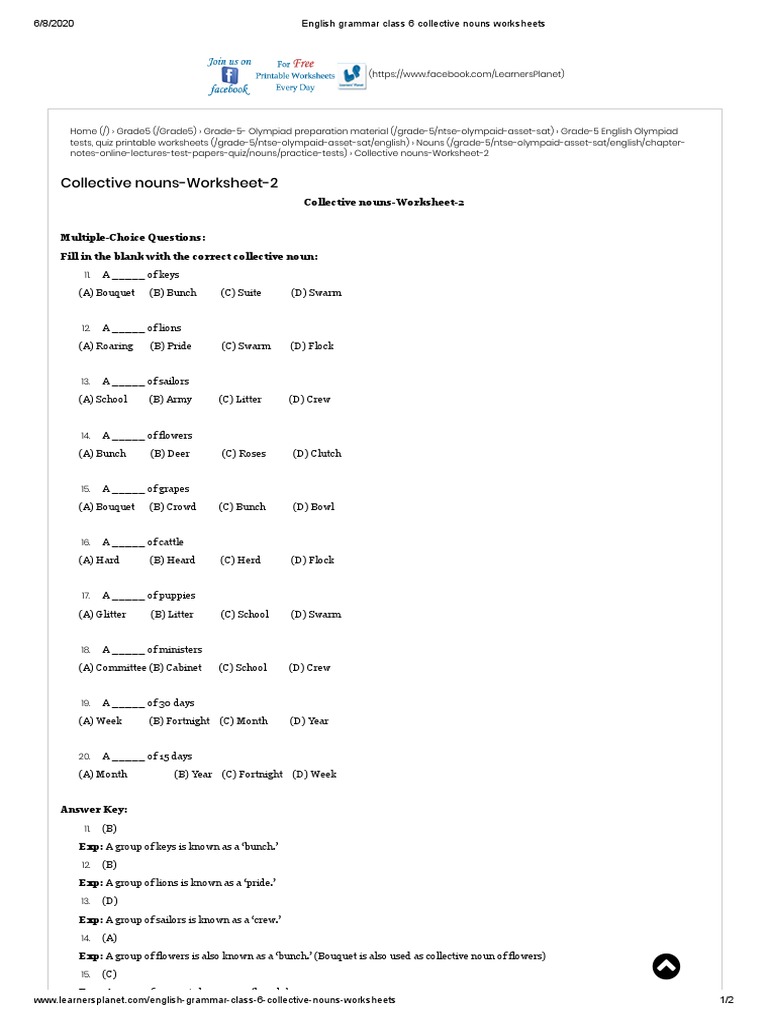 English Grammar Class 6 Collective Nouns Worksheets | PDF | Syntax