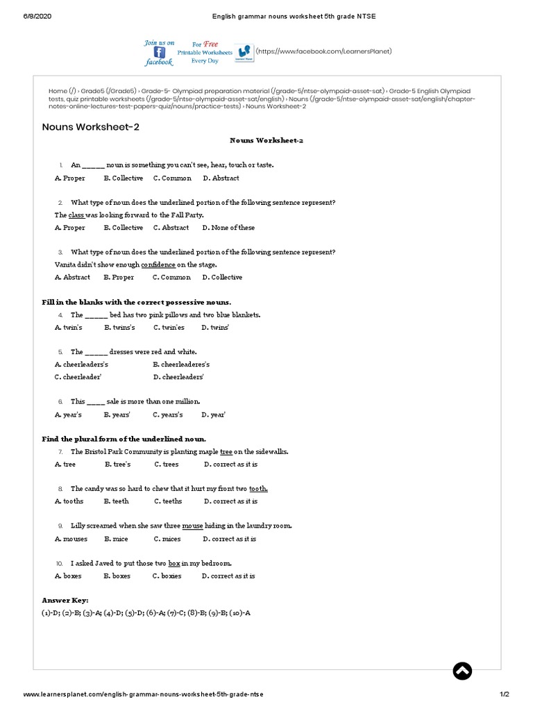 english grammar nouns worksheet 5th grade ntse pdf noun grammar