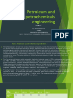 Petrochemicals Engineering Assignment