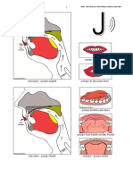 J-articulare.pdf