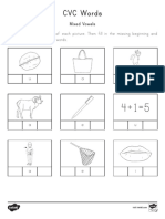 CVC Words Beginning and Ending Mixed Vowel Activity Sheets