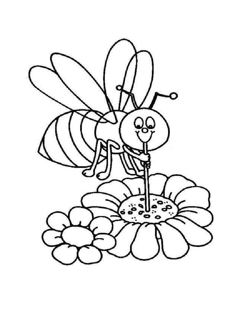 Albinuta | PDF