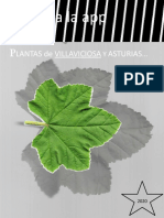 Plantas Villaviciosa y Asturia 1.0