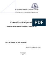 Proiect practica master (Repaired)