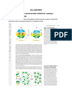 Cell Midterm Phosphorylation Can Control Protein Activity by Causing A Conformational Change