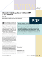 Eview: Alternative Polyadenylation: A Twist On mRNA 3 End Formation