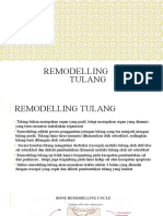 Remodelling Tulang