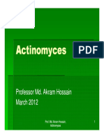 Actinomyces Actinomyces: Professor Md. Akram Hossain Professor Md. Akram Hossain March 2012 March 2012